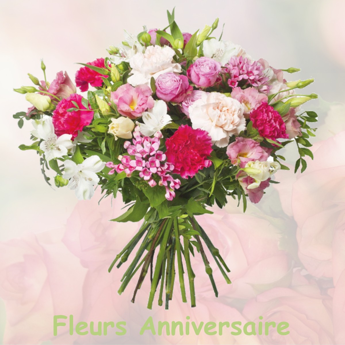 fleurs anniversaire LE-CAIRE